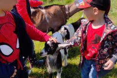 IMG_20210602_095505