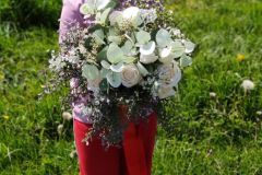 IMG_20240430_110618