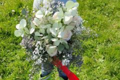 IMG_20240430_111623