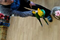 IMG_20200129_104559