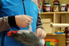 IMG_20200129_105624