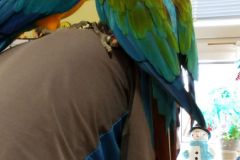 IMG_20200129_111004