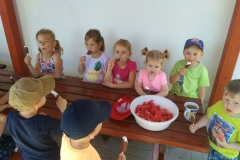 IMG_20190604_094304
