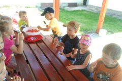 IMG_20190604_094325