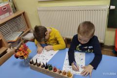 IMG_20241111_075121