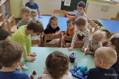 IMG_20241115_100620
