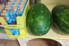 IMG_20220622_074604