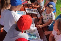 IMG_20220622_091254