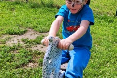 IMG_20220622_100815
