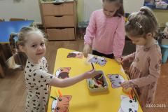 IMG_20250303_065721
