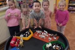 IMG_20250303_070558