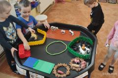 IMG_20250303_072115