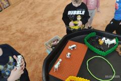 IMG_20250303_072138