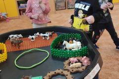 IMG_20250303_072257