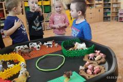 IMG_20250303_072457
