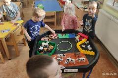 IMG_20250303_072539