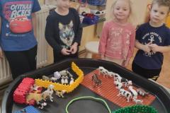 IMG_20250303_072711