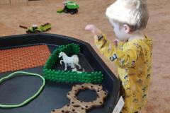 IMG_20250303_074903