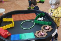 IMG_20250303_075016