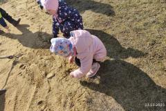 IMG_20250303_110743