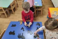 IMG_20250304_065102