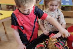 IMG_20250304_072512