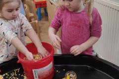 IMG_20250304_072514