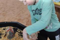 IMG_20250304_073046