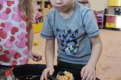 IMG_20250304_073444