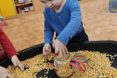 IMG_20250304_074112