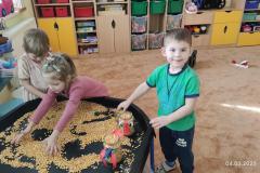 IMG_20250304_085506