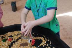 IMG_20250304_085537