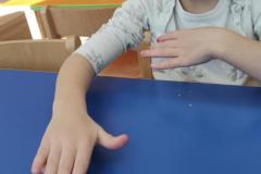 IMG_20250305_084153