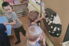 IMG_20250306_072405