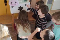 IMG_20250307_082307