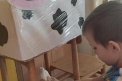 IMG_20250307_082503
