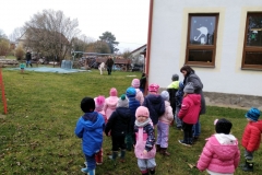IMG_20191111_102537