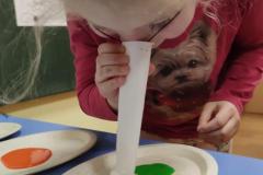 IMG_20250227_071319