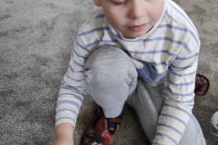 IMG_20250227_095802