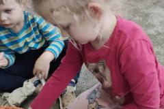 IMG_20250227_095823
