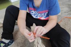 IMG_20250227_095848
