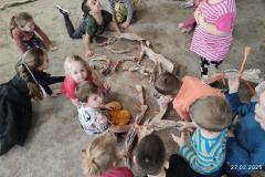 IMG_20250227_100318