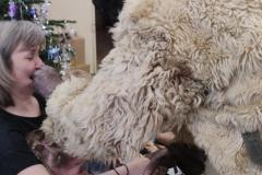 IMG_20241205_110118