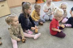 IMG_20261020_094600100_AE