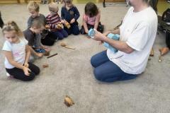 IMG_20261020_094615892_AE