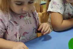IMG_20241029_070727