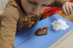 IMG_20241029_071142