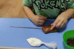 IMG_20241029_080715