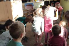 IMG_20250210_100901