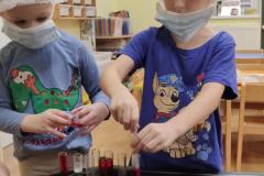 IMG_20260206_0726392